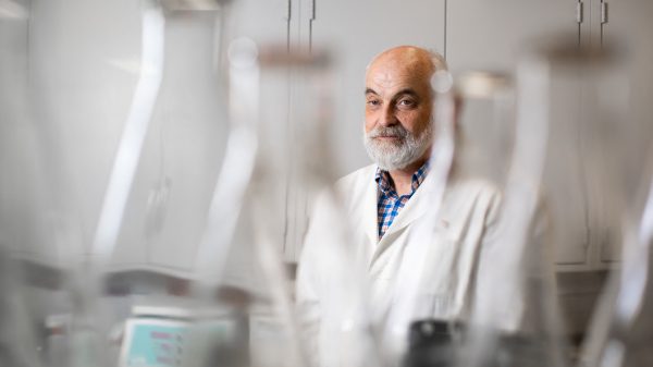 Federally funded research is under threat of disruptions by Trump administration. Photo: Collected