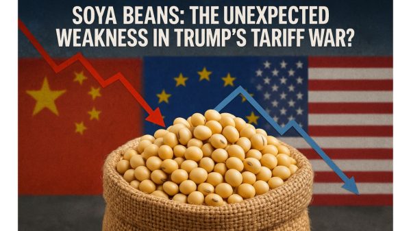 Golden beans, global battle: As trade tensions escalate, U.S. soybeans become a strategic pawn in the tariff war between Washington, Beijing, and Brussels. Photo: AI generated