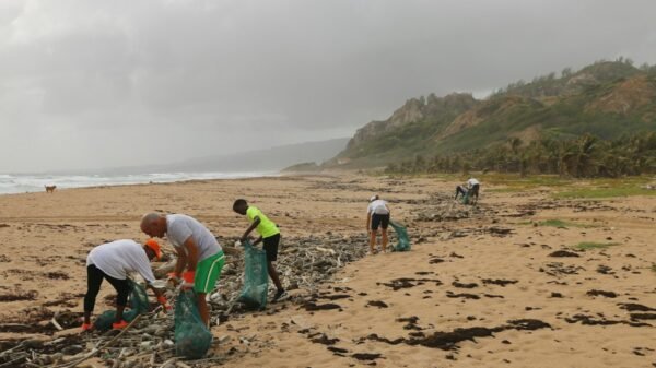 Beach cleanup volunteers, illustrative image