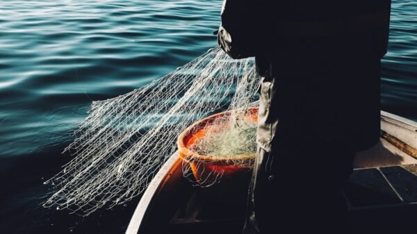 Fishing net illustrative photo