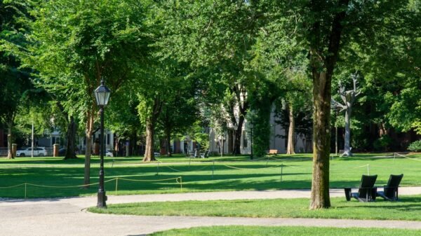 Campus greenery, illustrative photograph by Mikheil Kuzmidi / Unsplash