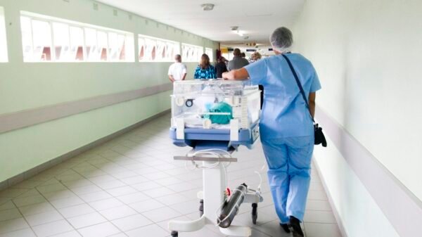Hospital personnel, illustrative image