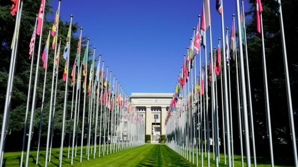 United Nations flags illustrative image