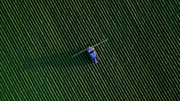 Illustrative photograph of agricultural field; not the actual reported event