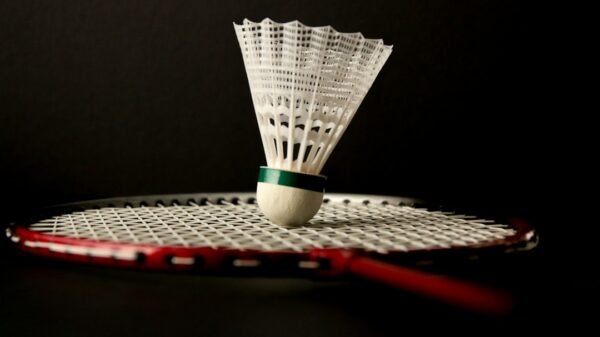 Badminton sport (illustrative)